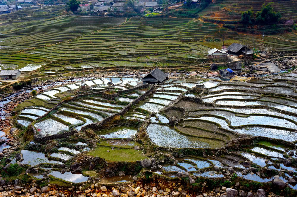 sapa trekking_1000