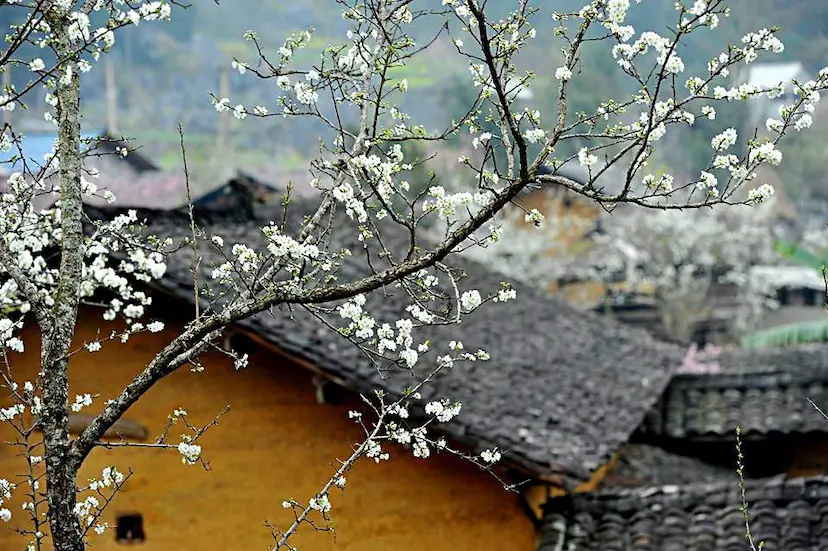 pho bang ha giang 2