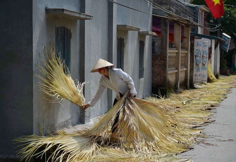Une femme fait sécher des feuilles de palmier le long de la rue pour fabriquer les chapeaux coniques de Tri Lễ.