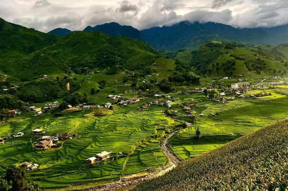 Panorama des rizières en terrasses de Lao Chai