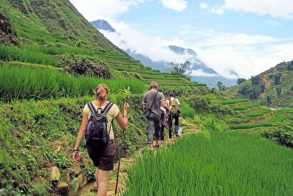Sentier de randonnée entre les rizières de Sa Pa.